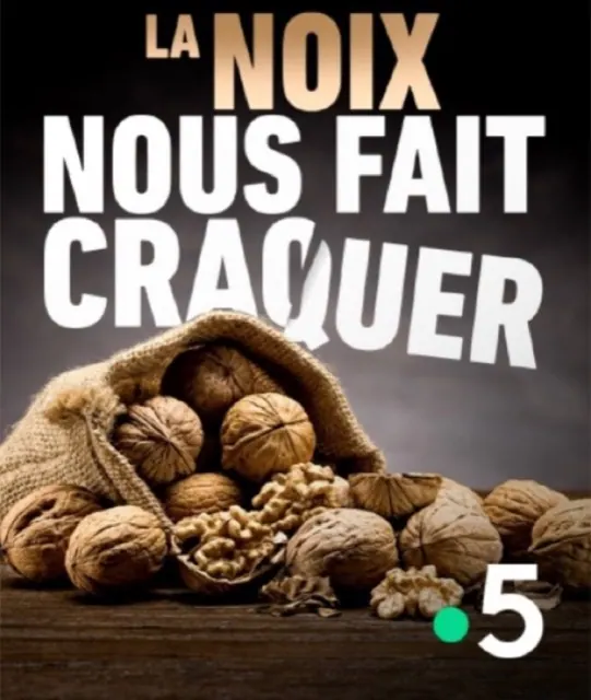 La noix nous fait craquer — Documentaire, montage et mixage son par Robin Michel
