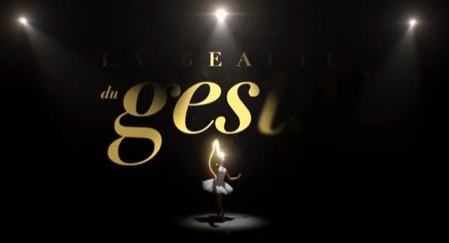 Le Beau Geste — Émissions & plateau, montage et mixage son par Robin Michel