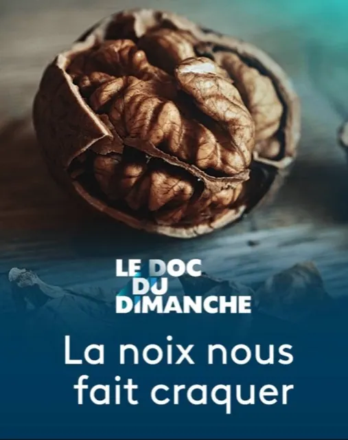Le Doc du dimanche — Documentaire, montage et mixage son par Robin Michel