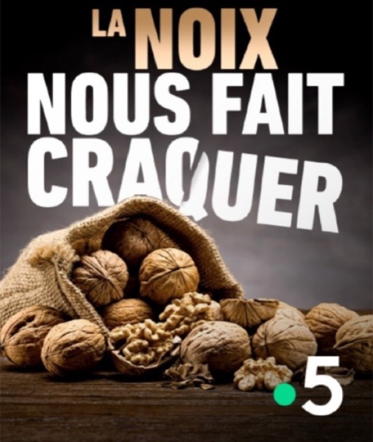 La noix nous fait craquer — Documentaire, montage / mixage son par Robinson
